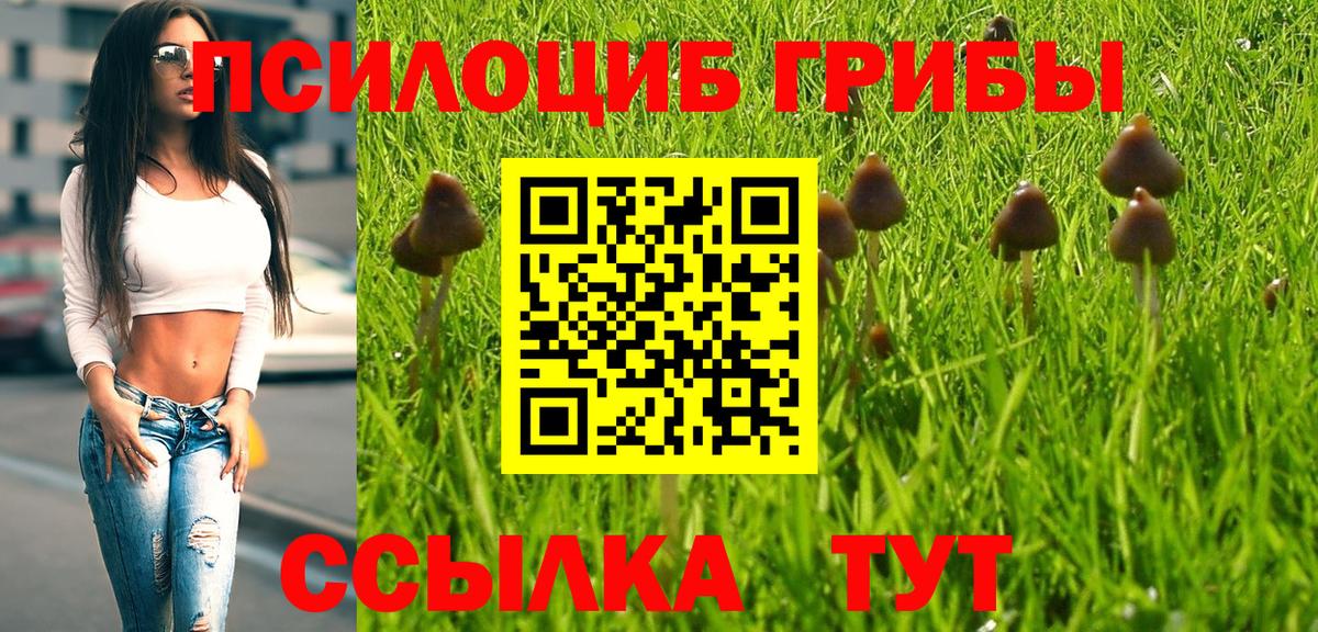 Большой Камень  Псилоцибиновые грибы Magic Shrooms  Вход с VPN  Галлюциногенные грибы GOLDEN TEACHER 