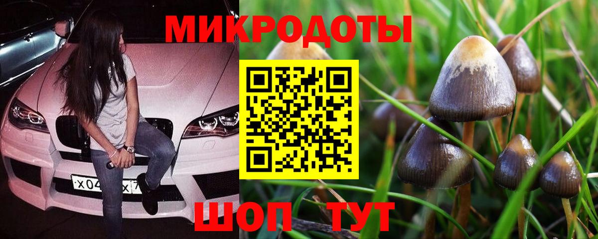 Псилоцибиновые грибы MAGIC MUSHROOMS Большой Камень
